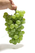 ヒムロッド・シードレス（Himrod Seedless Grape）