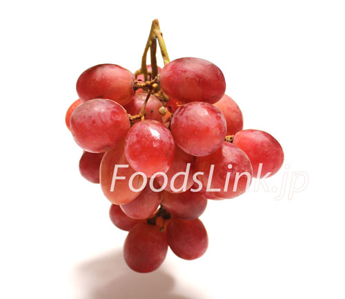 ホリデイ・レッド・シードレス（Holiday Red Seedless Grapes）