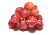 ホリデイ・レッド・シードレス（Holiday Red Seedless Grapes）