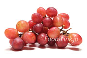 ホリデイ・レッド・シードレス（Holiday Red Seedless Grapes）