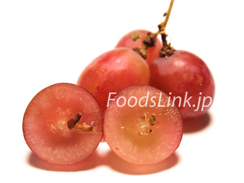 ホリデイ・レッド・シードレス（Holiday Red Seedless Grapes）