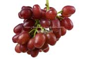 クイーンセブン　皮ごと食べられる赤いブドウ