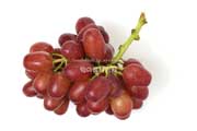 クイーンセブン　皮ごと食べられる赤いブドウ
