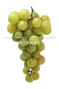 トンプソン・シードレス（Thompson Seedless Grapes）