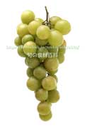 トンプソン・シードレス（Thompson Seedless Grapes）