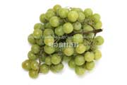 トンプソン・シードレス（Thompson Seedless Grapes）