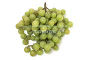 トンプソン・シードレス（Thompson Seedless Grapes）