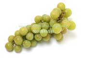 トンプソン・シードレス（Thompson Seedless Grapes）