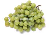 トンプソン・シードレス（Thompson Seedless Grapes）