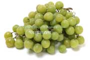 トンプソン・シードレス（Thompson Seedless Grapes）