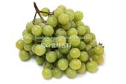 トンプソン・シードレス（Thompson Seedless Grapes）
