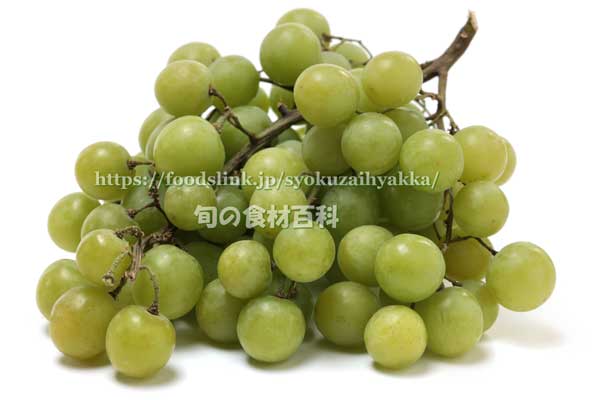 トンプソン・シードレス トンプソン・シードレス(Thompson Seedless Grapes)