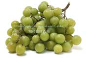 トンプソン・シードレス（Thompson Seedless Grapes）
