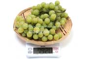 トンプソン・シードレス（Thompson Seedless Grapes）