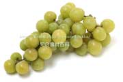 トンプソン・シードレス（Thompson Seedless Grapes）