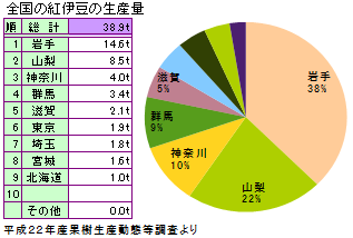 紅伊豆（ベニイズ）　＜　ぶどう