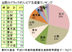 ブラックオリンピア ぶどうの生産地
