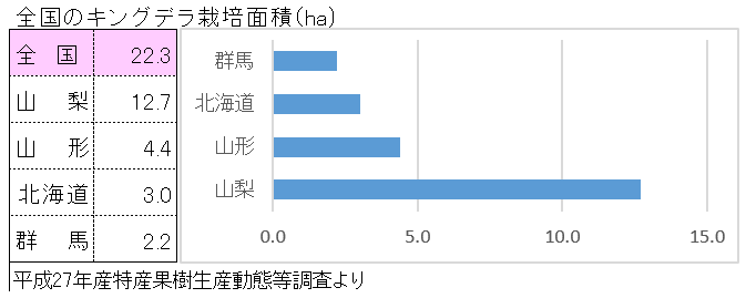 キングデラの産地と栽培面積