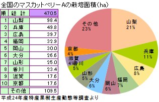 ぶどう　ベリーAの栽培面積