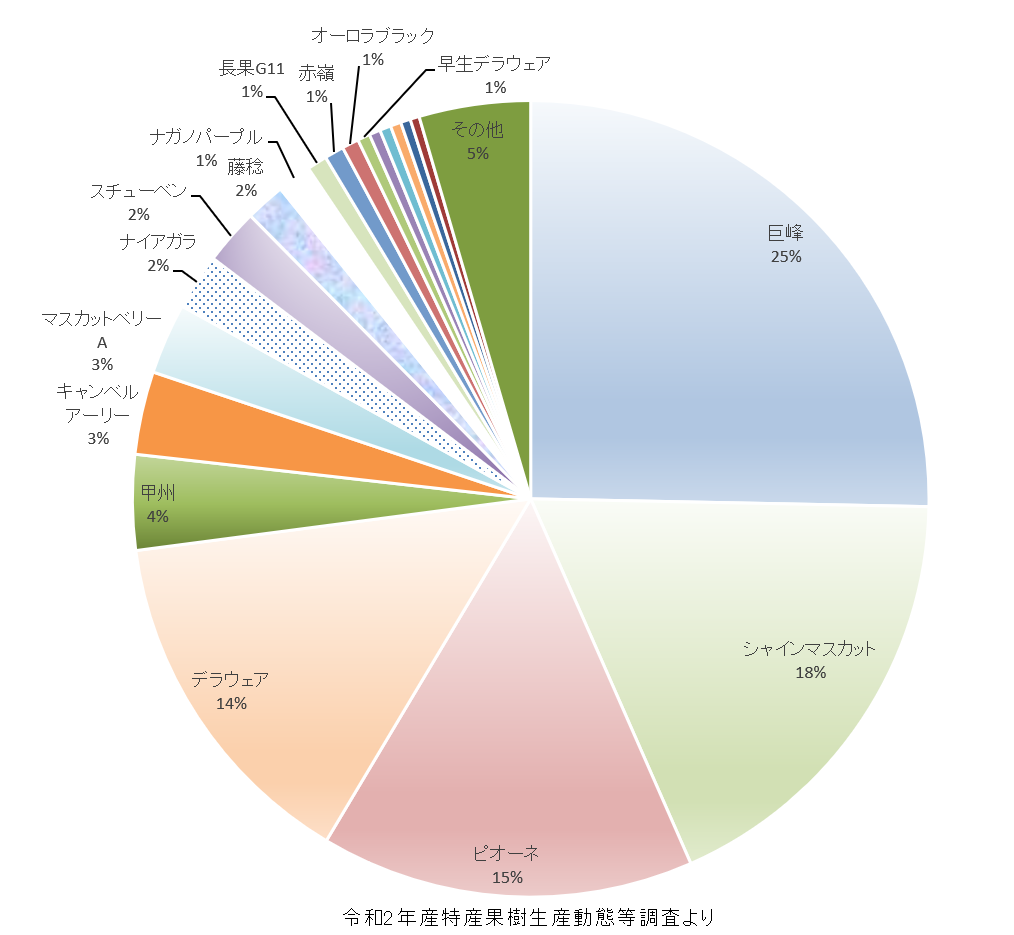 2020年産　全国のブドウ品種別栽培面積グラフ