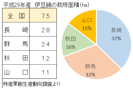 伊豆錦の栽培面積