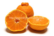 カンキツ（柑橘類）
