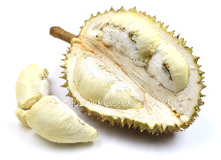 ドリアン／Durian