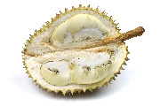 ドリアン／Durian