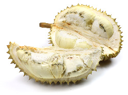 ドリアン／Durian