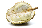 ドリアン／Durian