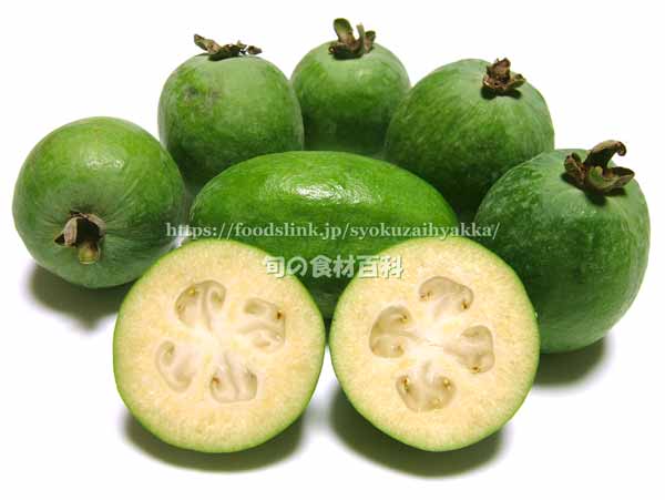 フェイジョア(Feijoa)の断面 フェイジョア(Feijoa)の断面