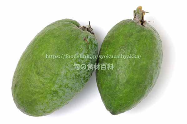 フェイジョア（Feijoa）