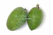 フェイジョア(Feijoa) フェイジョア(Feijoa)