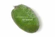 フェイジョア(Feijoa) フェイジョア(Feijoa)