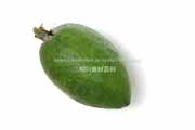 フェイジョア(Feijoa) フェイジョア(Feijoa)