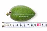 フェイジョア(Feijoa) フェイジョア(Feijoa)