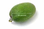 フェイジョア（Feijoa）