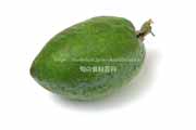 フェイジョア（Feijoa）