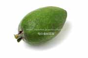 フェイジョア（Feijoa）