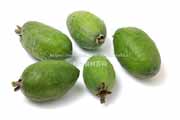 フェイジョア（Feijoa）