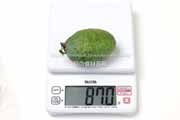 フェイジョア(Feijoa) フェイジョア(Feijoa)