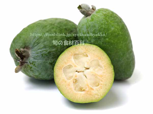 フェイジョア（Feijoa）の断面