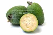 フェイジョア（Feijoa）の断面