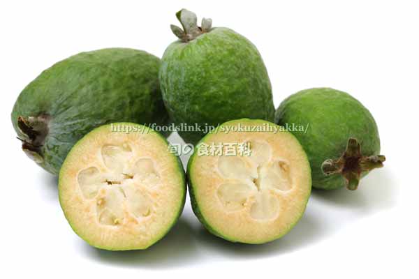 フェイジョア(Feijoa)の断面 フェイジョア(Feijoa)の断面