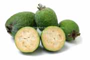 フェイジョア（Feijoa）の断面