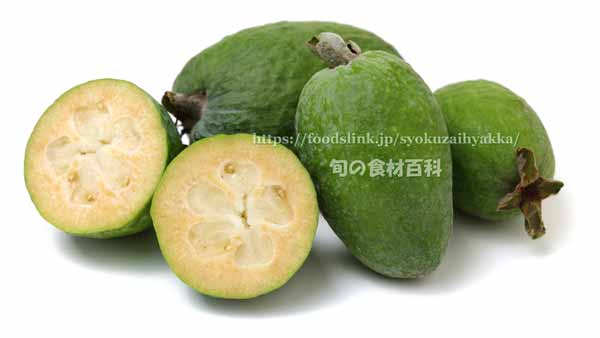 フェイジョア(Feijoa) フェイジョア(Feijoa)