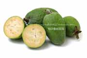フェイジョア(Feijoa)の断面 フェイジョア(Feijoa)の断面