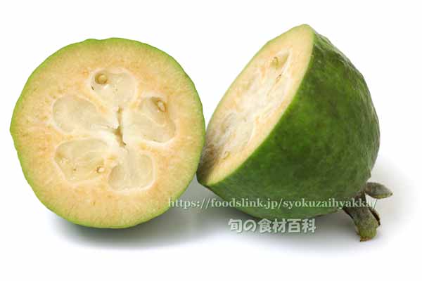 フェイジョア(Feijoa)の断面 フェイジョア(Feijoa)の断面