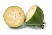 フェイジョア(Feijoa)の断面 フェイジョア(Feijoa)の断面