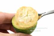 フェイジョア(Feijoa) フェイジョア(Feijoa)